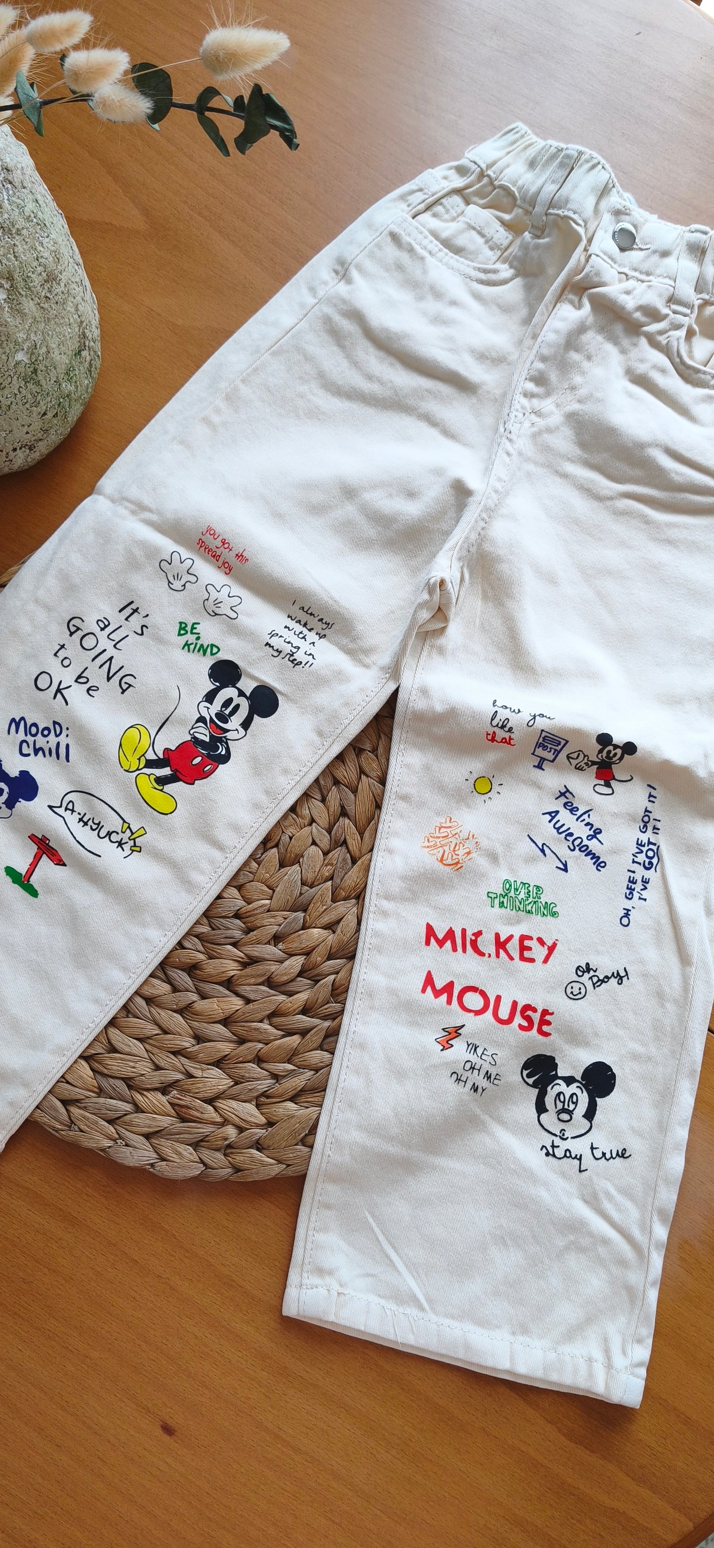 Erkek çocuk Z.R. model Mickey mouse takım