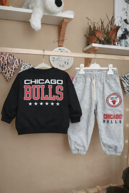 Chicago Bulls takım